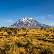 Travel eSIM for Tanzania